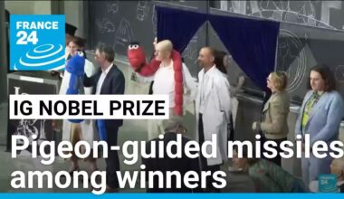 Pigeon-guided missiles, drunken earthworm study win Ig Nobel prizes • FRANCE 24 English