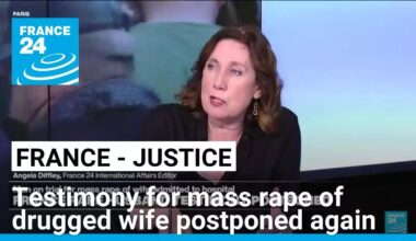 Testimony of Frenchman for mass rape of drugged wife postponed again • FRANCE 24 English