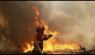 No Comment : le Portugal déclare l'état de catastrophe naturelle face à la progression des incendies