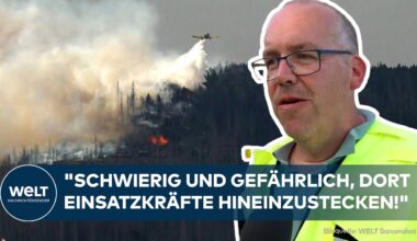 DEUTSCHLAND: Horror im Harz! 500 Touristen vom Brocken wegen Waldbrand in Sicherheit gebracht!