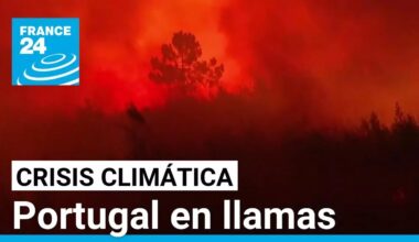 Portugal anuncia estado de calamidad por incendios forestales que dejan al menos siete muertos