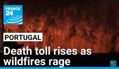 Portugal battles ferocious wildfires as toll rises • FRANCE 24 English