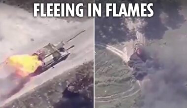 Moment doomed Russian howitzer is engulfed in flames and tries to flee Ukrainian drones