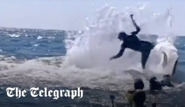 Humpback whale throws snorkeller into the air