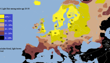 Finland is the most Aryan country on the globe.