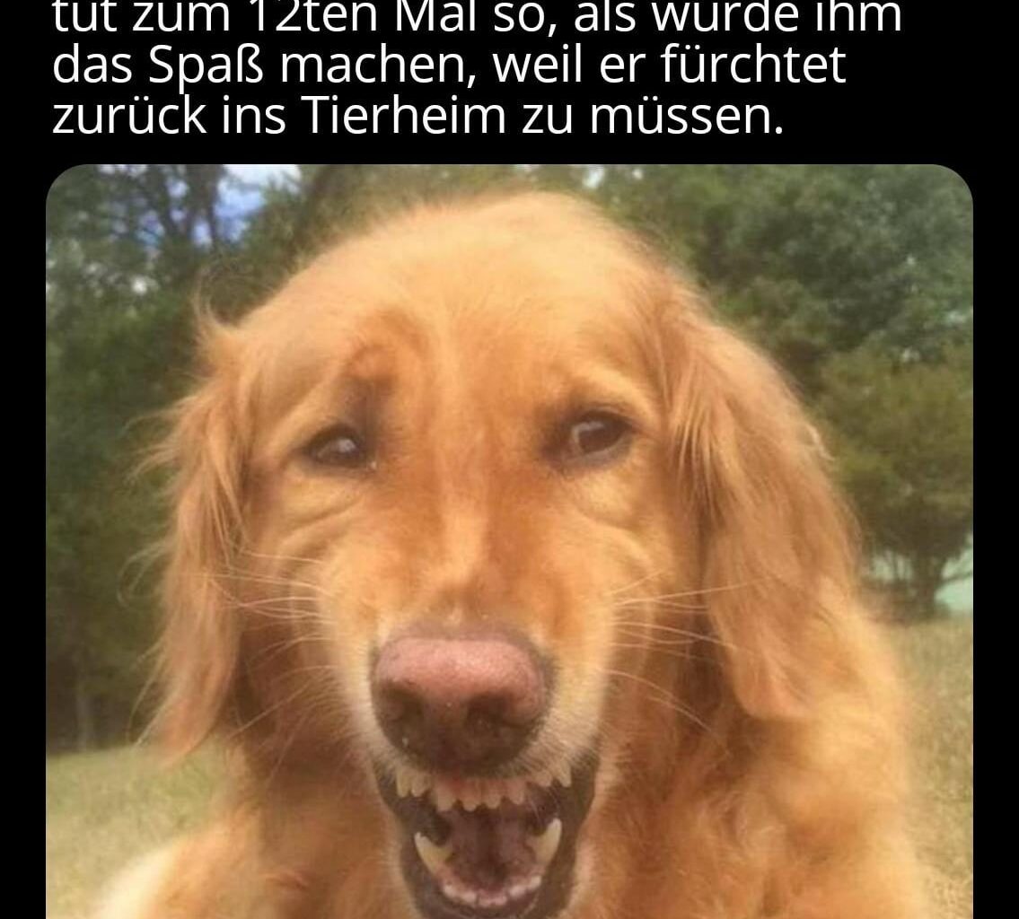 ich_iel