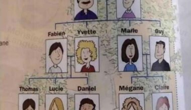 C’est ça la France, dans mon livre de français en Espagne