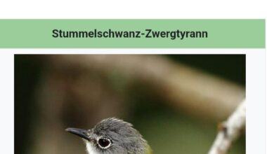 Ich🐦iel