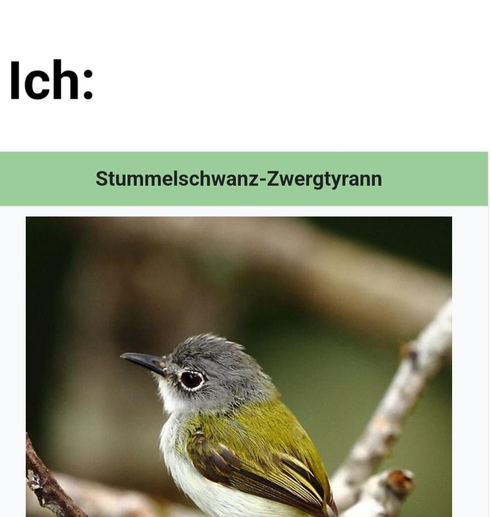 Ich🐦iel