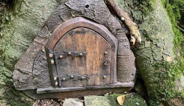 My Mum was out walking in some woods today and stumbled across this Hobbit dwelling. Timberscombe, Somerset.