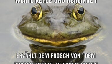 Ich🐸iel