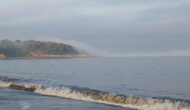 Ravenscraig beach