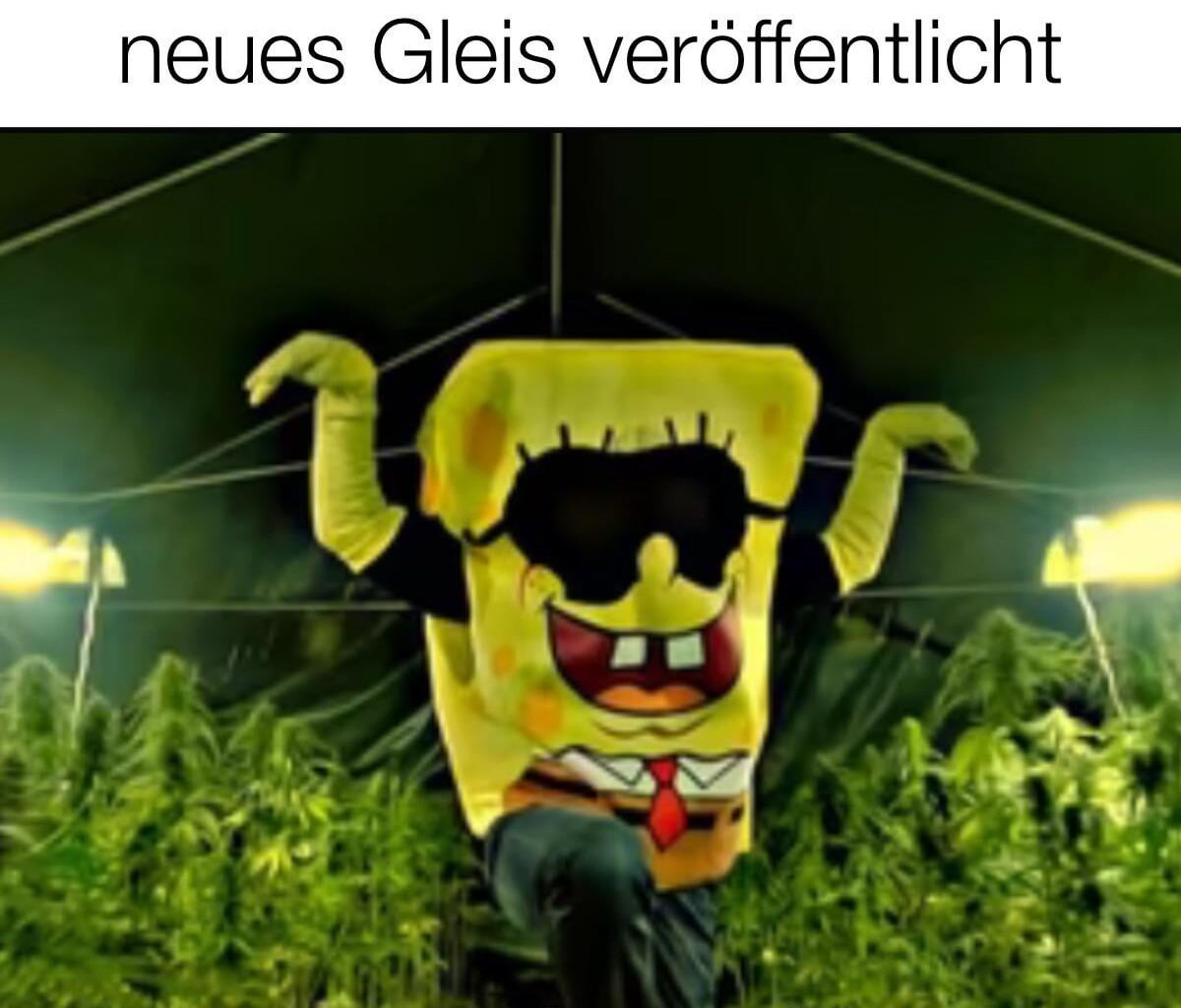 ich🧽iel