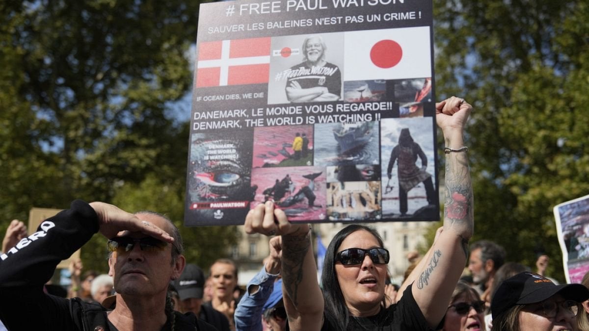 No Comment : manifestation à Paris pour demander la libération de Paul Watson