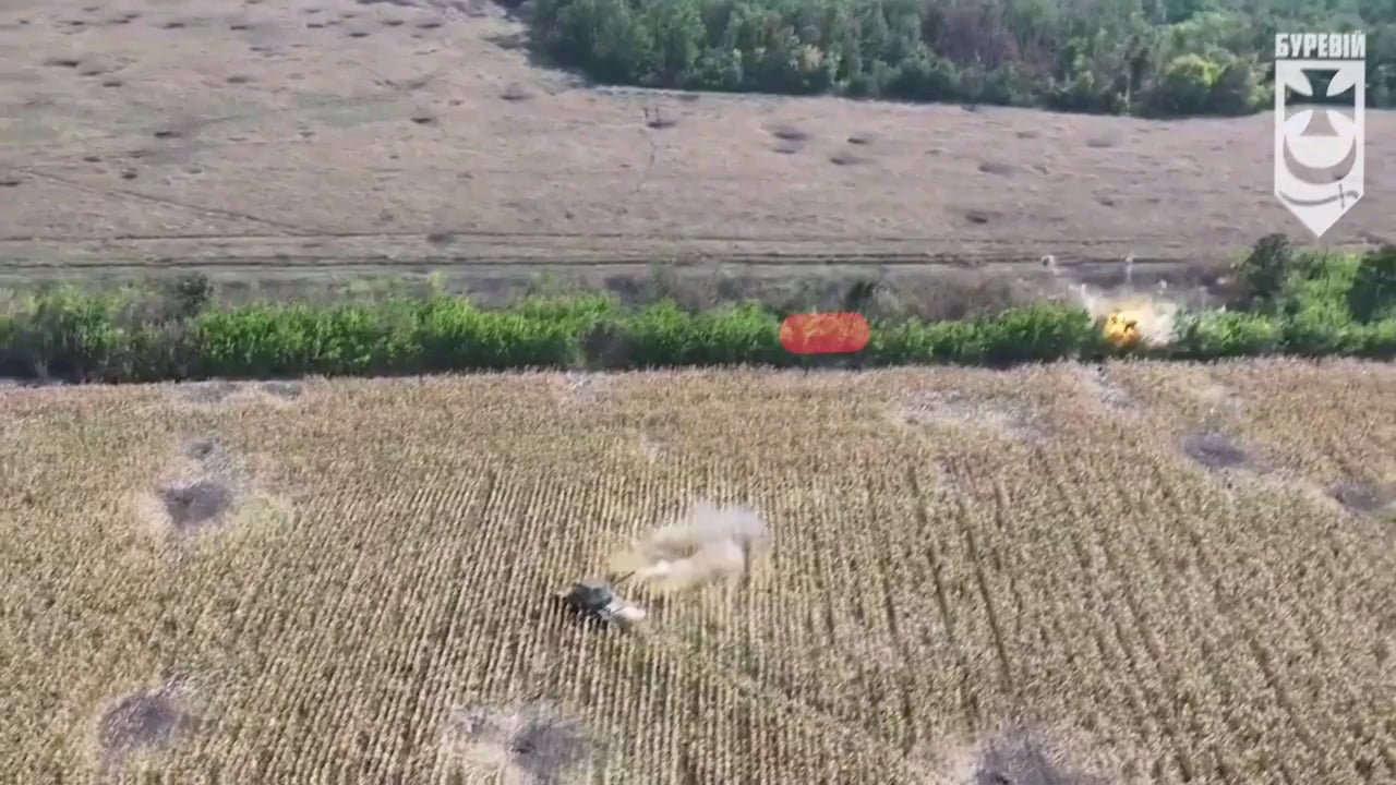 Ukrainian T-64 tank of the 1st Presidential Operational Brigade, equipped with anti-drone protection, fires at a tree line where Russian troops were spotted trying to advance using the cover of the dense vegetation.