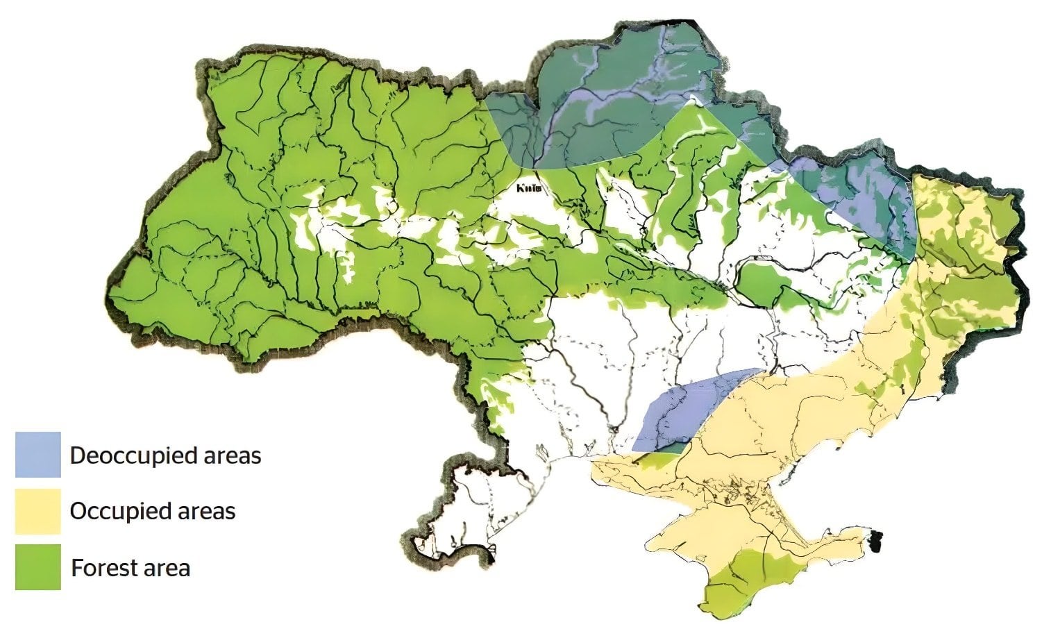 Ukraine’s Forests Under Siege: The Hidden Toll of War 🌍