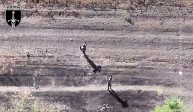 Russian POWs getting shelled and killed by Russian artillery while surrendering near Kurakhiv. September 2024