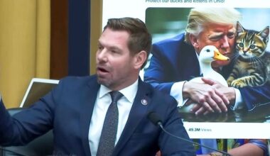 'Are you OK?' Dem confronts Jim Jordan for sharing fake image of Trump protecting a duck