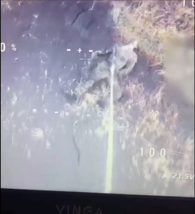 A Ukrainian FPV drone uses a hook to take an AKM assault rifle from a dead enemy.