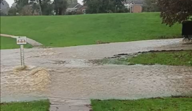 My dad commentating on the state of our park