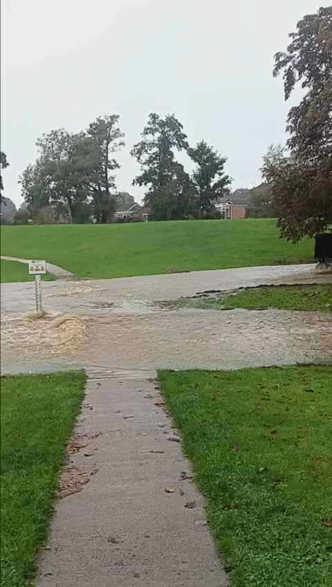 My dad commentating on the state of our park