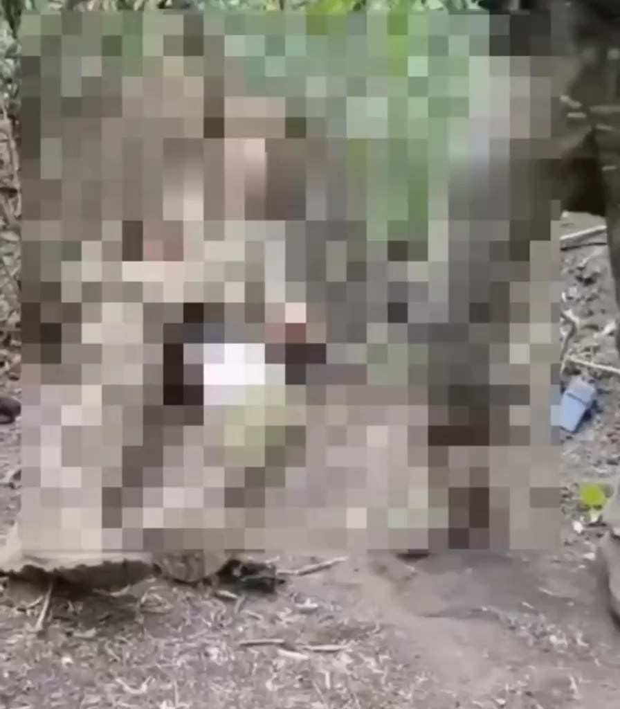 Video of allegedly unarmed Ukrainian soldier executed by russian troops