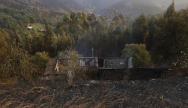 Le Portugal décrète un jour de deuil national en mémoire aux victimes des feux qui ravagent le pays