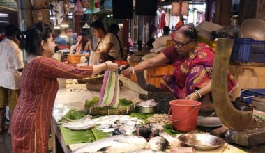 Bangladesh plays spoilsport, bans Padma Hilsa fish export to India ahead of Durga Puja