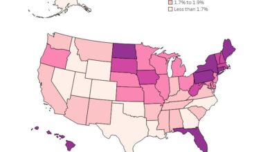 Aging in America: State-by-State Analysis of Aging Population [OC]