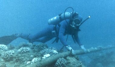 Guerres hybrides : la vulnérabilité des câbles sous-marins inquiète les experts