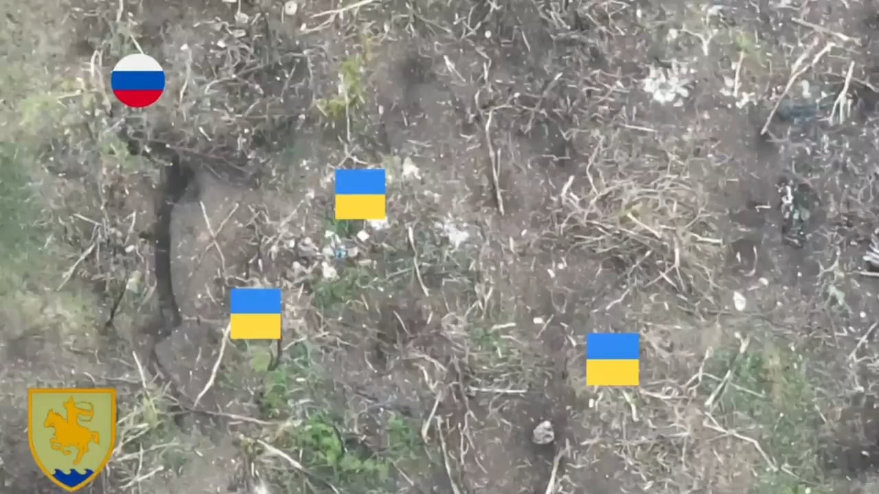 Soldiers from 21st Motorized Battalion "Sarmat" of the 56th Motorized Brigade of Ukraine storm Russian positions near Bakhmut. Killing a visible enemy with a headshot in close combat, and several others with grenades. July 2023