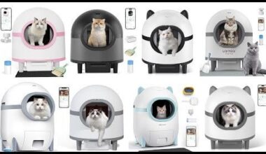 Be Aware! The DEADLY self-cleaning litter boxes that have flooded the market