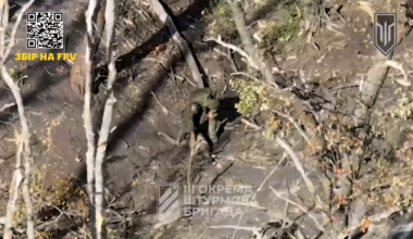 NSFW: Ukrainian 3rd Assault Brigade's UAV unit hit several Russian soldiers and infantry groups with FPV strike drones and corrected artillery/mortar fire on enemy positions. Kharkiv region, September 2024.