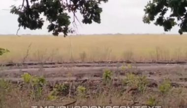 russian soldiers in Ukraine watch a new Ukrainian drone burn down a neighbouring forest area