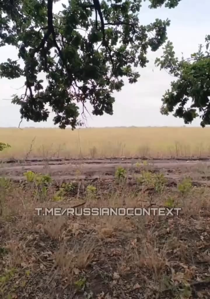 russian soldiers in Ukraine watch a new Ukrainian drone burn down a neighbouring forest area