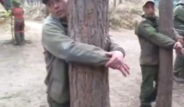 Grown ass men (Russian serfs) getting taped to a tree and punched cause they refuse to go on an assault in Ukraine without a sufficient number of vehicles