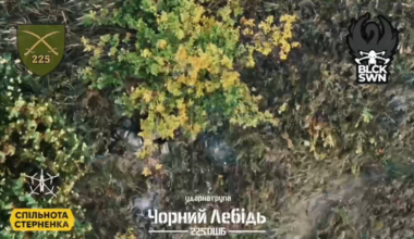 Ukrainian drone drops grenades on Russian soldier until he pulls pin on his own grenade in Kursk region, Russia. "Black Swan" unit of the 225th Assault Battalion