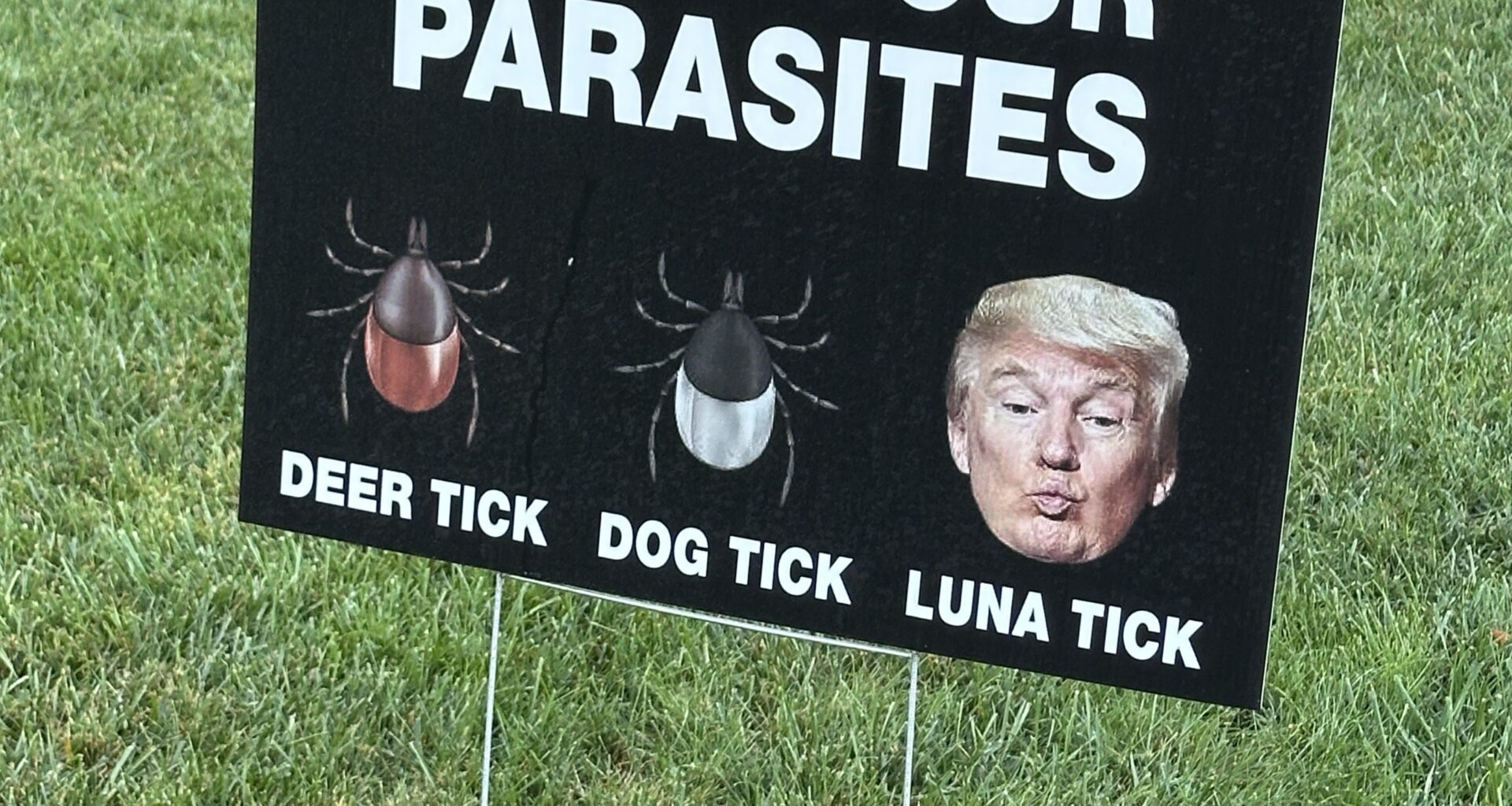 Know your parasites