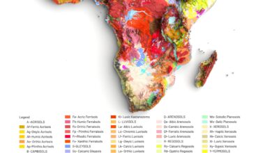 [OC] A Map🗺️ Showing Soil Types of Africa Continent, Dataset is from FAO (Domsoil)