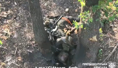 A larg3 assortment of dead and dead for all practical purposes RF fighters in various degrees of freshness and completeness from the area around Makiivka, Luhansk region. Disgusting.