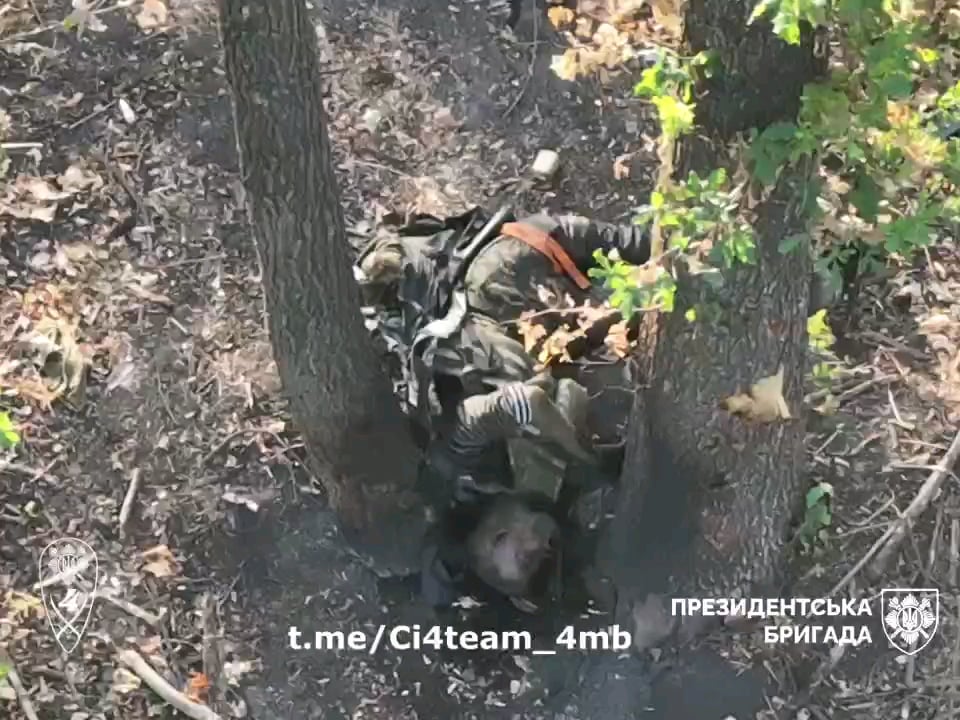 A larg3 assortment of dead and dead for all practical purposes RF fighters in various degrees of freshness and completeness from the area around Makiivka, Luhansk region. Disgusting.