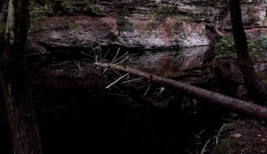 Eerie walk... 😱 (Shropshire)