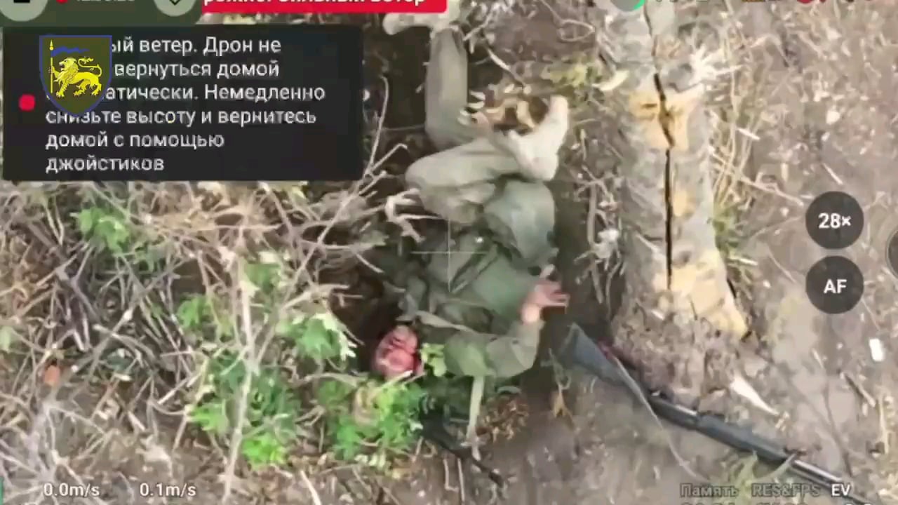 Extremely brutal footage: Ukrainian 60th Mechanized Brigade's "Vidar" drone team used drone dropped ammunition and FPV strike drones to target Russian infantry in a tree line, resulting in succesful hits on four visible occupants. Kremmina sector, possibly near Yampolivka, September 2024. NSFW!!!