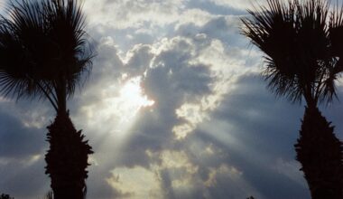 Salt lake in Larnaca - Taken on CineStill400D