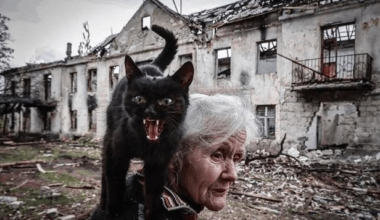 La fameuse technique du chat sur l'épaule marche encore