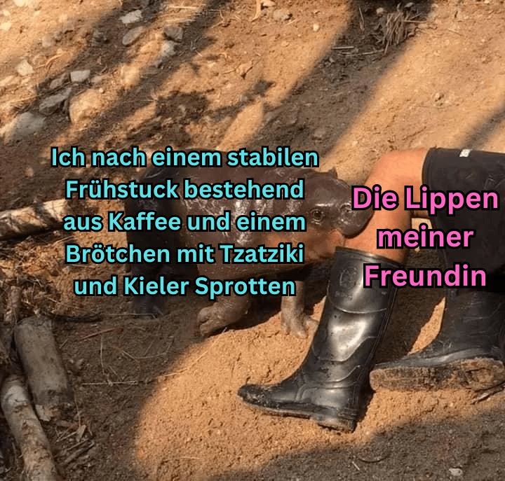 ich🐟💋iel