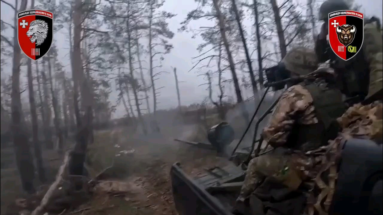 M75 20mm anti-aircraft gun mounted on a pickup truck being operated against Russian positions on the other side of the forest in a rapid attack. Somewhere in the Donbas region. 63rd Separate Mechanized Brigade, published on September 11, 2024.