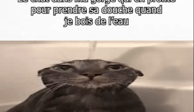 Il veut pas sortir