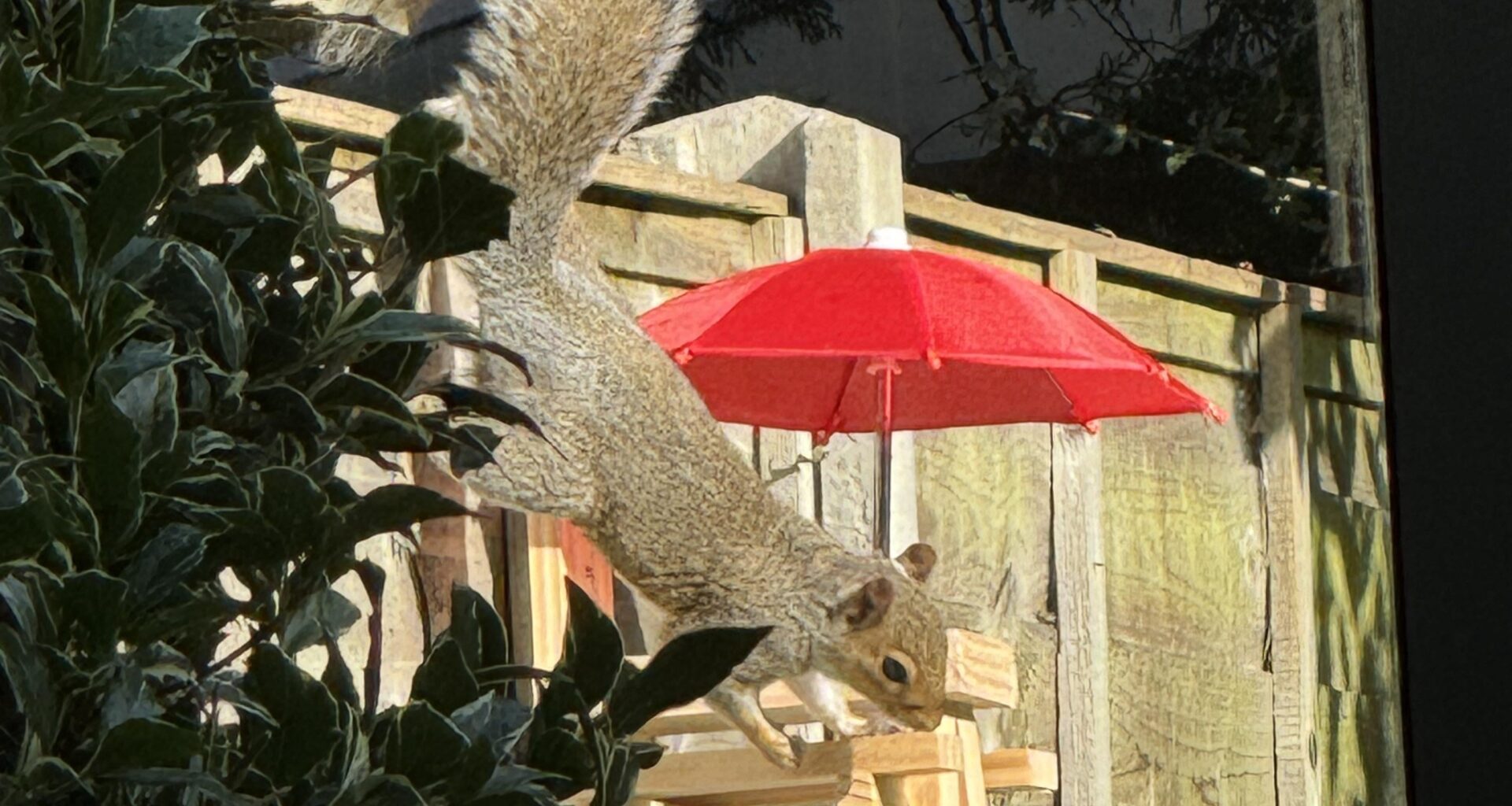 Squirrel Picnic Table