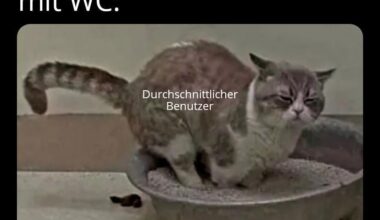 ich_iel